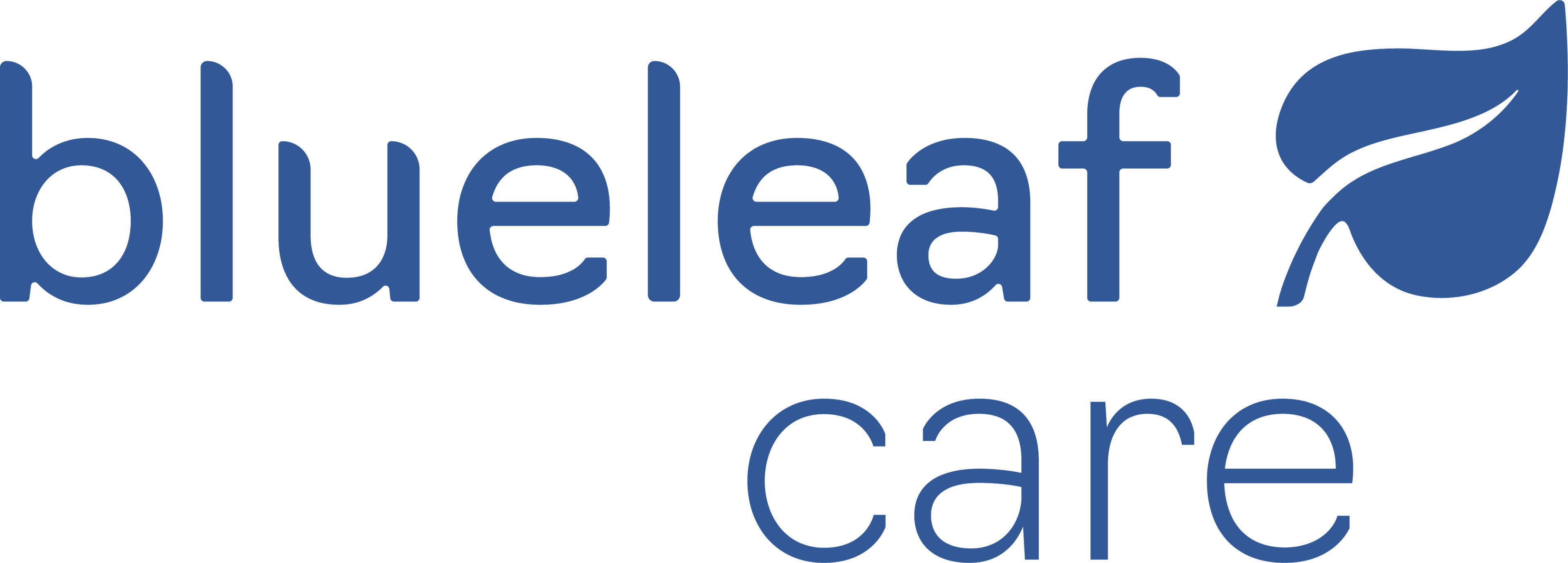 Updated Blueleaf Logo.jpg