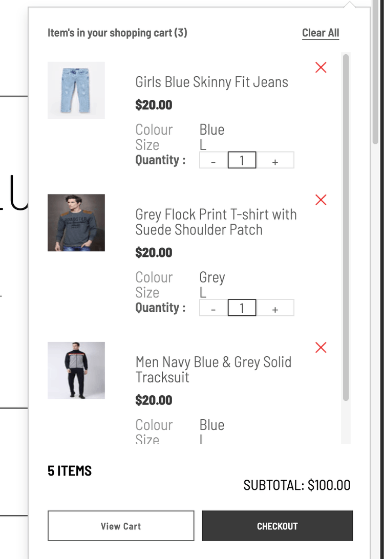 Advanced Mini Cart Extension for SuiteCommerce | Jobin & Jismi