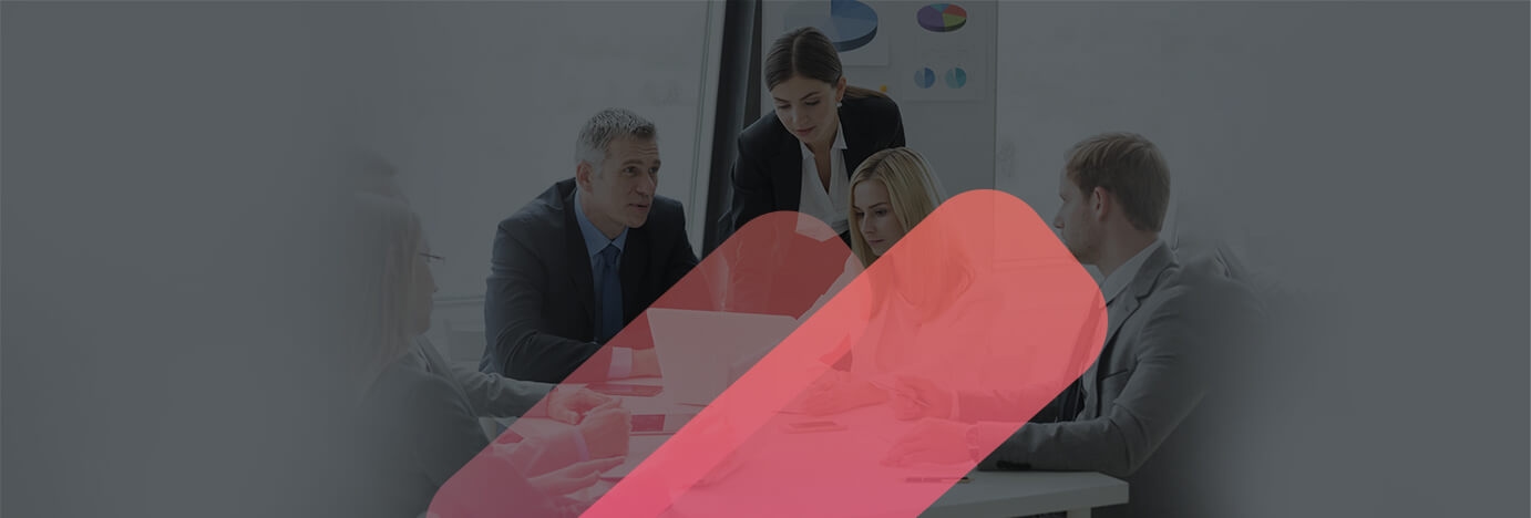 our insights