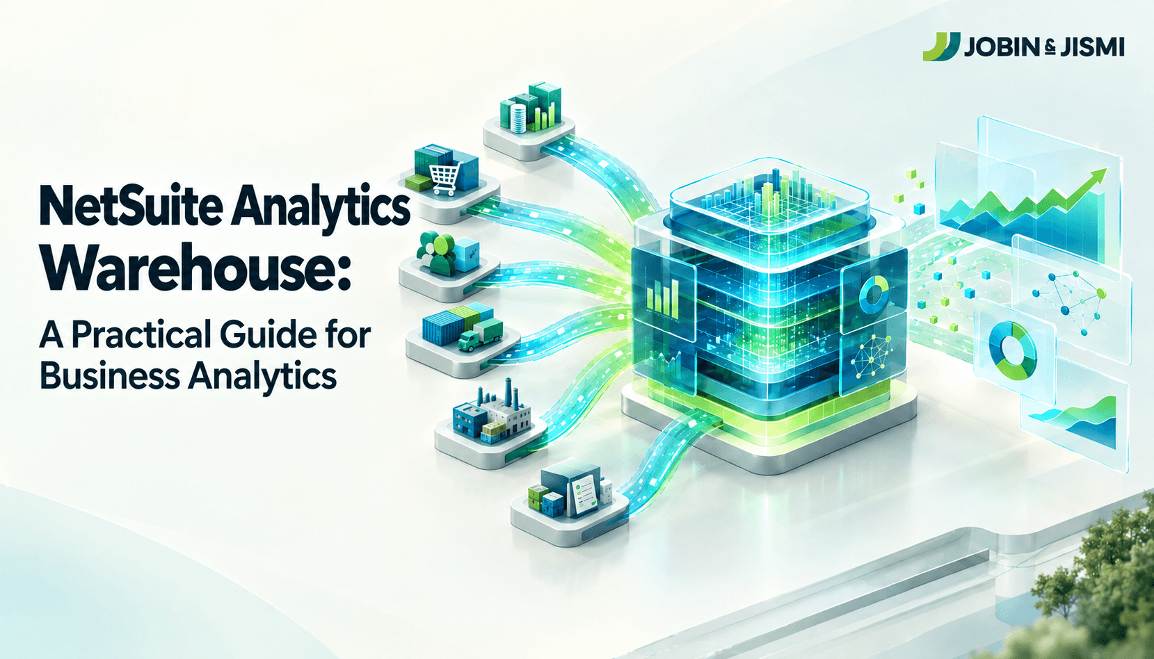our insights