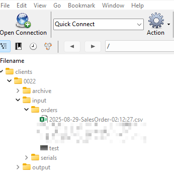 NetSuite – SFTP Integration for Automated Sales Order Sync_image1.png